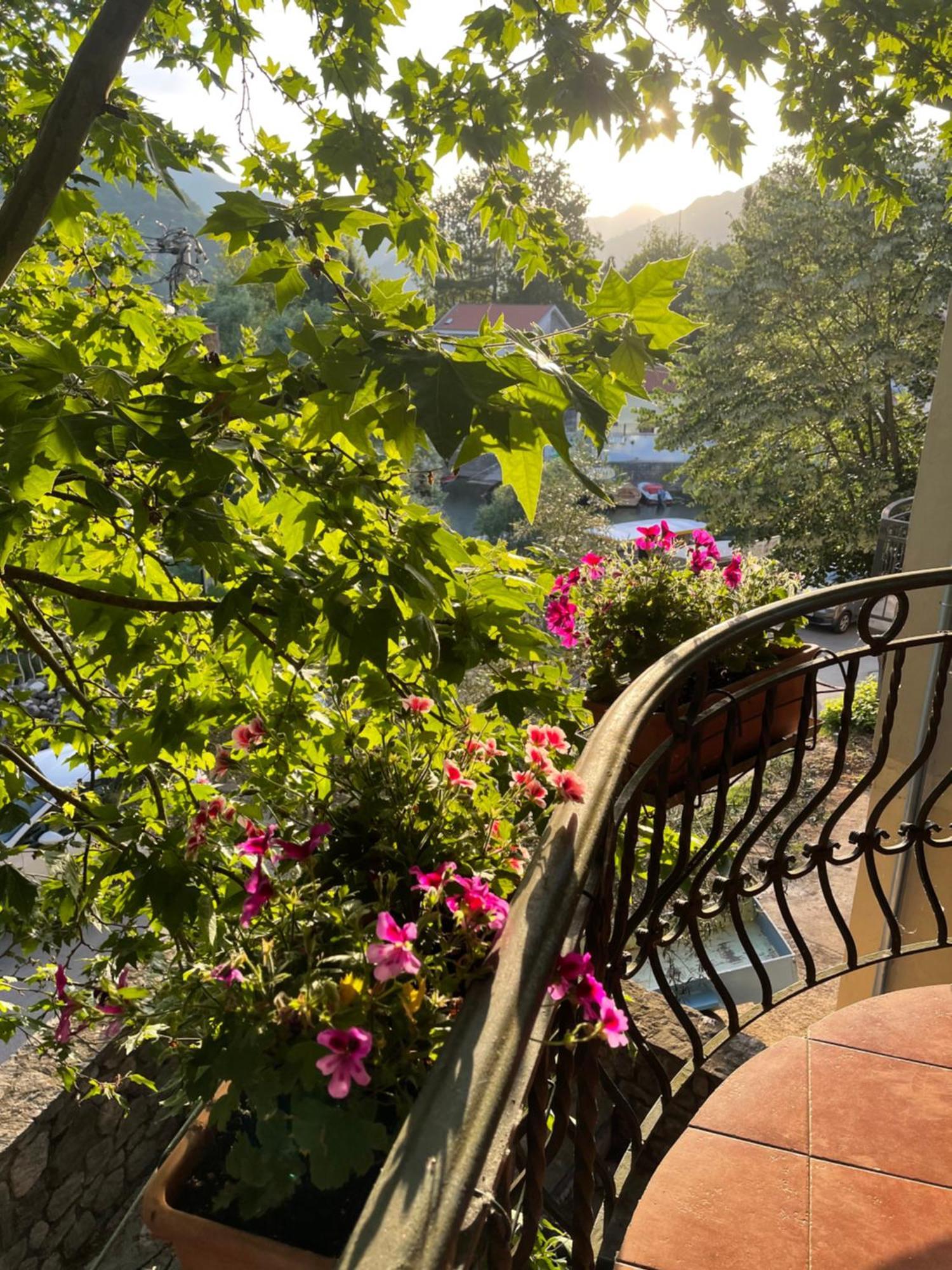Classy & David Appartement Virpazar
